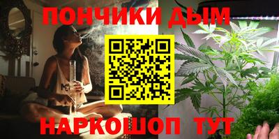 гидра Партизанск