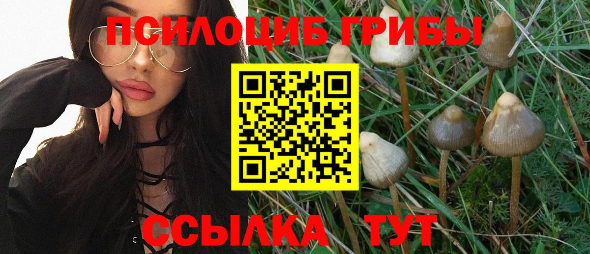 Галлюциногенные грибы Cubensis Ростов-на-Дону