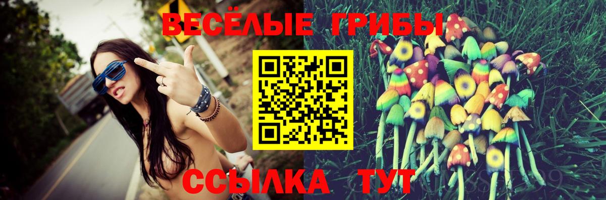 Ростов-на-Дону  Псилоцибиновые грибы прущие грибы  Вход с VPN  Псилоцибиновые грибы GOLDEN TEACHER 
